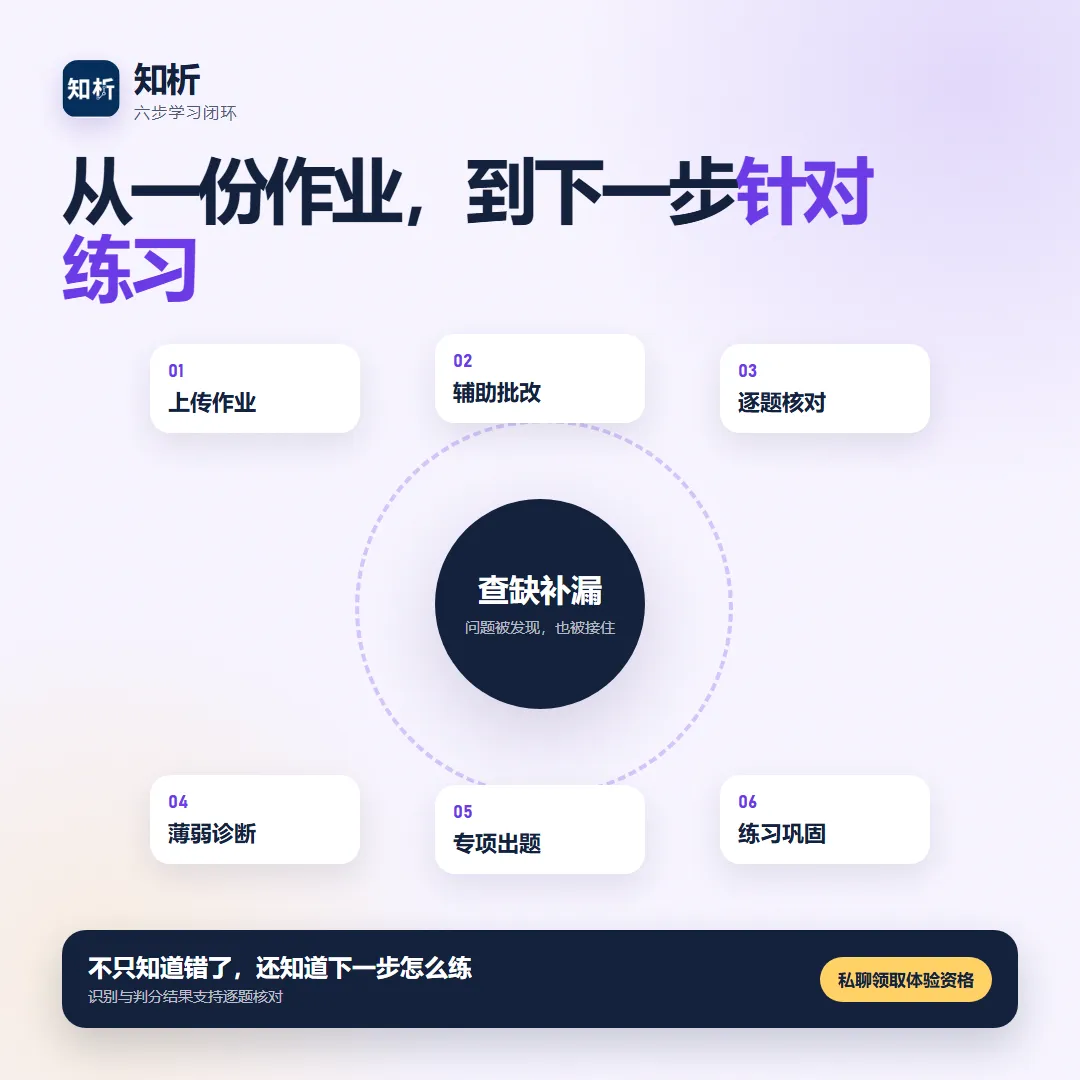 知析项目概览